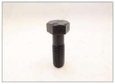 DISSAX BOLT FINALDRWVE COVER 01010-62055